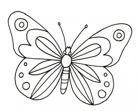 Motyl1 Motyl1