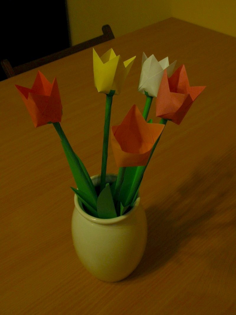 tulipany-01.jpg